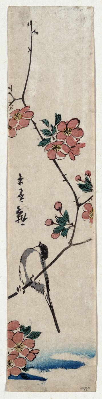 Kleine vogel op een tak van Kaidozakura door Utagawa Hiroshige